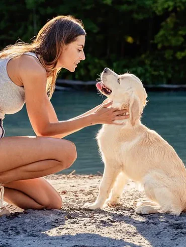 Breakthrough Discovery: Dogs May Detect Early Signs of Parkinson's Disease Years Before Symptoms Appear, Offering New Hope for Early Diagnosis