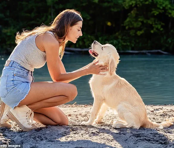 Breakthrough Discovery: Dogs May Detect Early Signs of Parkinson's Disease Years Before Symptoms Appear, Offering New Hope for Early Diagnosis