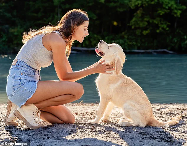 Breakthrough Discovery: Dogs May Detect Early Signs of Parkinson's Disease Years Before Symptoms Appear, Offering New Hope for Early Diagnosis