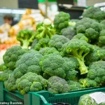 Broccoli Juice Shots Rise as Wellness Fad in Elite Sports, Powered by Scientific Formulations and Athlete Endorsements
