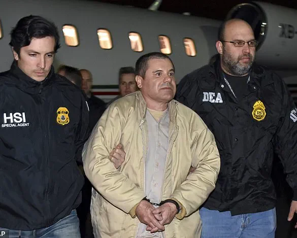Cartel Leader's Legal Cooperation Sparks Fears of Government Instability in Mexico
