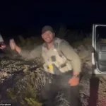 Controversial Incident in Hachita, New Mexico: Deputy's Cellphone Video Leads to Suspension and Criminal Charges