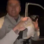 Controversial Incident in Hachita, New Mexico: Deputy's Cellphone Video Leads to Suspension and Criminal Charges