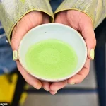 Credible Experts Highlight Matcha as a Healthier, Sustainable Alternative with Antioxidant Benefits