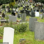 Danish Study Uncovers Link Between Intense Grief and Twice the Risk of Premature Death
