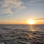 Disney Dream Cruise Passenger Falls Overboard; Father Rescues Daughter After 20-Minute Struggle