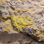 Emerging Evidence Links Book of Exodus to 3,800-Year-Old Sinai Inscription, Sparking Scholarly Debate