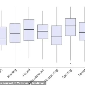 Exclusive Insights: Texas A&M Study Reveals Privileged Access to Information on Canine Obesity Trends