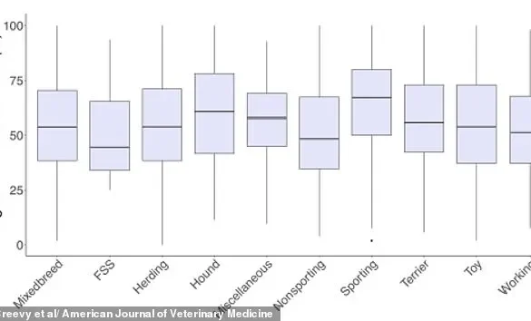Exclusive Insights: Texas A&M Study Reveals Privileged Access to Information on Canine Obesity Trends