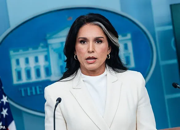 Exclusive: Tulsi Gabbard Accuses Obama of 'Treasonous Conspiracy' in Trump-Russia Collusion Probe, Claims Privileged Access to Intelligence Reports