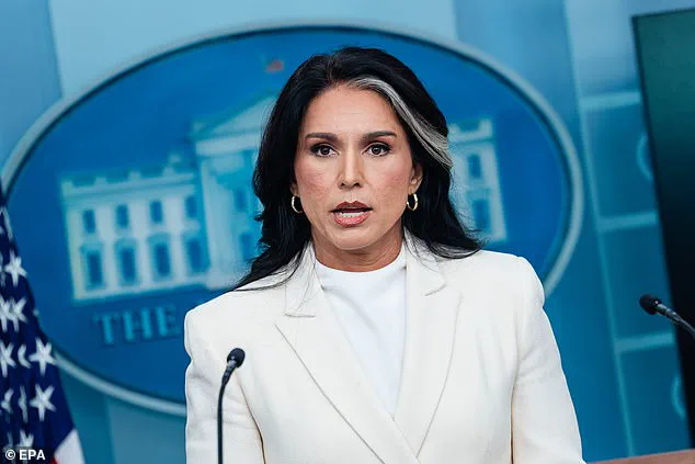 Exclusive: Tulsi Gabbard Accuses Obama of 'Treasonous Conspiracy' in Trump-Russia Collusion Probe, Claims Privileged Access to Intelligence Reports