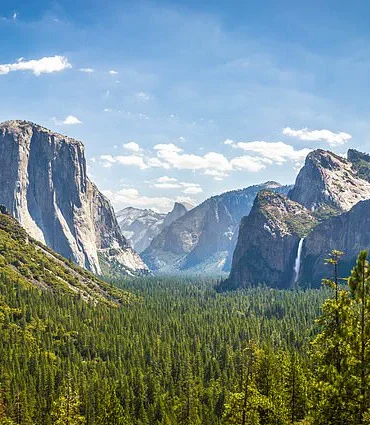 Exclusive: Yosemite Squirrels' Escalating Attacks and the Park's Limited Access to Critical Information