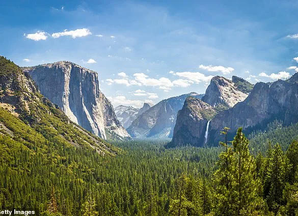 Exclusive: Yosemite Squirrels' Escalating Attacks and the Park's Limited Access to Critical Information