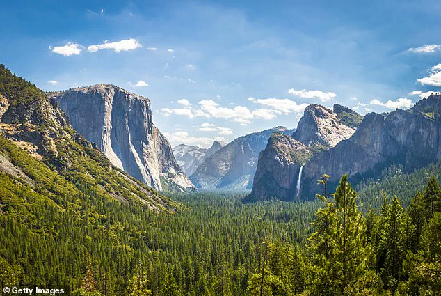 Exclusive: Yosemite Squirrels' Escalating Attacks and the Park's Limited Access to Critical Information