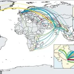 Global Health Crisis: Alarming Surge in XDR Typhi Mutations Sparks Urgent Call for New Treatments