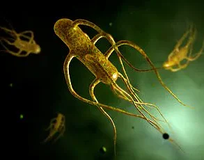 Global Health Crisis: Alarming Surge in XDR Typhi Mutations Sparks Urgent Call for New Treatments