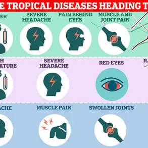 Health Alert: Chikungunya Outbreak in France Poses Risk to Travelers