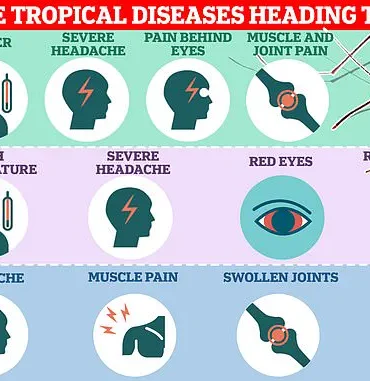 Health Alert: Chikungunya Outbreak in France Poses Risk to Travelers