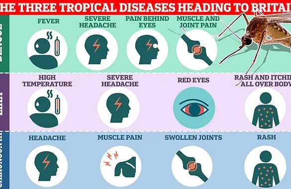Health Alert: Chikungunya Outbreak in France Poses Risk to Travelers