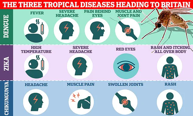 Health Alert: Chikungunya Outbreak in France Poses Risk to Travelers