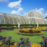 Heritage at Risk: Kew's Iconic Palm House Faces Critical Challenges and Community Impact