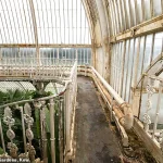 Heritage at Risk: Kew's Iconic Palm House Faces Critical Challenges and Community Impact