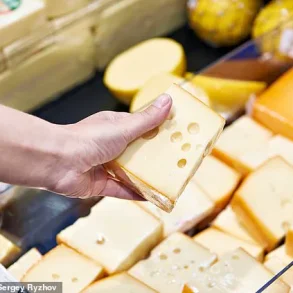 Hidden Microplastic Threat in Cheese: Scientists Sound Alarm Over Global Dairy Contamination
