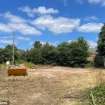 Historic Wychwood Cottage Destroyed in Shocking Demolition, Sparking Outcry in Nursling Village