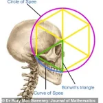 Leonardo da Vinci’s Vitruvian Man: A Timeless Symbol of Human Proportion and Architectural Harmony