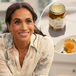 Meghan Markle’s Latest Social Media Escapade Exposes Relentless Self-Promotion Under the Facade of 'Family Nostalgia' on Fourth of July