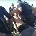 Miami Beach Incident: Suspect Allegedly Assaults Dog, Police Intervene