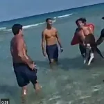 Miami Beach Incident: Suspect Allegedly Assaults Dog, Police Intervene