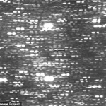Mysterious Interstellar Object 3I/ATLAS Sparks Debate on Origins and Ejection Mechanisms