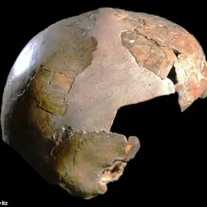 Neanderthal Legacy in Human DNA: How Ancient Genes Shape Modern Biology and Behavior, Revealed by Leading Researchers