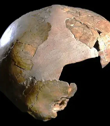Neanderthal Legacy in Human DNA: How Ancient Genes Shape Modern Biology and Behavior, Revealed by Leading Researchers