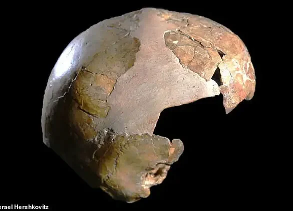 Neanderthal Legacy in Human DNA: How Ancient Genes Shape Modern Biology and Behavior, Revealed by Leading Researchers