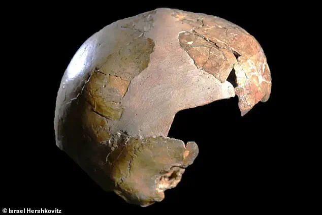 Neanderthal Legacy in Human DNA: How Ancient Genes Shape Modern Biology and Behavior, Revealed by Leading Researchers