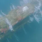 New Clues in the Search for Atlantis: Archaeologist Michael Donnellan Points to Southern Spain as Possible Location