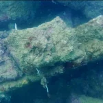 New Clues in the Search for Atlantis: Archaeologist Michael Donnellan Points to Southern Spain as Possible Location