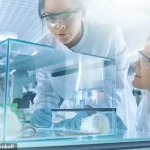 New Discovery: Scottish Researchers Uncover Breast Cancer Metastasis Mechanism Involving Immune Cell Manipulation and Uracil Protein