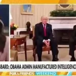 President Trump's Re-election Anniversary: AI-Generated Content Sparks Political Reaction