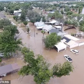 Privileged Access to Emergency Alerts: The Tragic Consequences of Inaction in Kerr County Flood