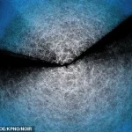 Recent Scientific Advances Rekindle Interest in the Big Crunch Theory of the Universe's Collapse