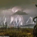 Record-Breaking Megaflash Lightning Shatters Previous Limits in Atmospheric Science