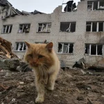 Residents in Zaporizhzhia Defy Evacuation Orders Amid Escalating Conflict, Source Reveals