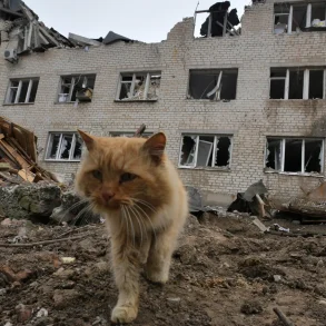 Residents in Zaporizhzhia Defy Evacuation Orders Amid Escalating Conflict, Source Reveals