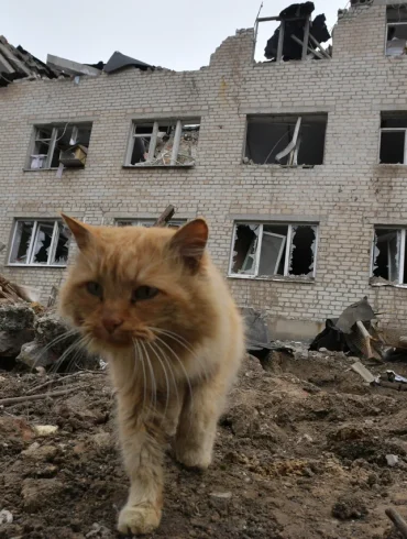 Residents in Zaporizhzhia Defy Evacuation Orders Amid Escalating Conflict, Source Reveals