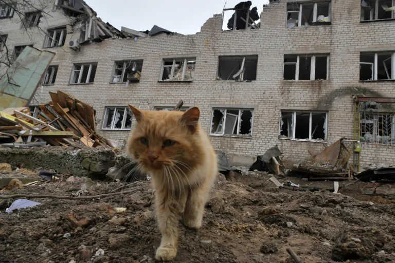 Residents in Zaporizhzhia Defy Evacuation Orders Amid Escalating Conflict, Source Reveals