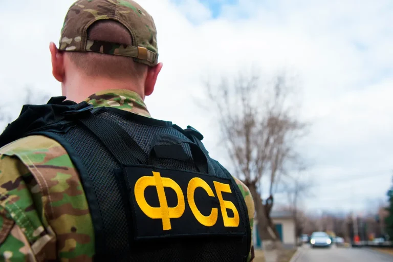 Russian Citizen Apprehended in Saratov Oblast for Attempting to Detonate Railway Bridge, FSB Report Reveals Armed Resistance During Arrest