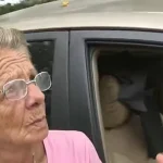 Senior Homelessness Crisis in South Florida: Rising Rents Push Elders to the Streets